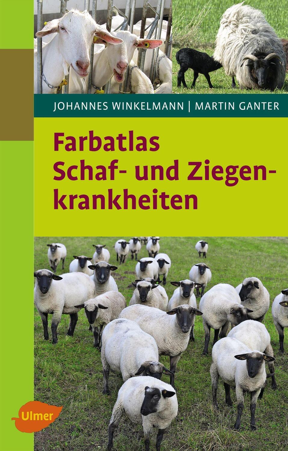 Cover: 9783818601089 | Farbatlas Schaf- und Ziegenkrankheiten | Johannes Winkelmann (u. a.)