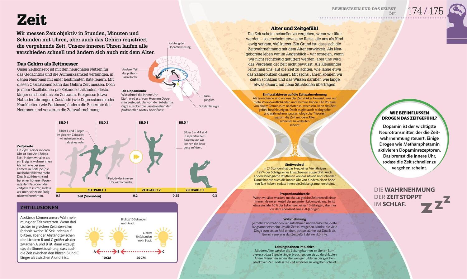 Bild: 9783831040186 | #dkinfografik. Das menschliche Gehirn und wie es funktioniert | Buch