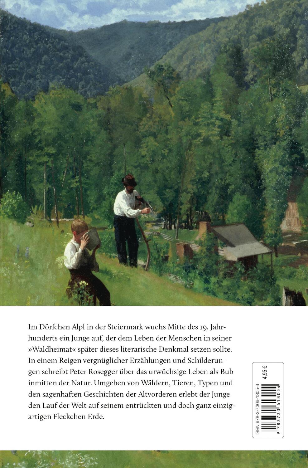 Bild: 9783730613054 | Als ich noch der Waldbauernbub war | Peter Rosegger | Buch | 320 S.