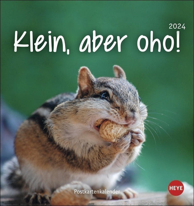 Cover: 9783756403653 | Klein, aber oho! Postkarten-Kalender 2024. Von Igel über Quokka bis...