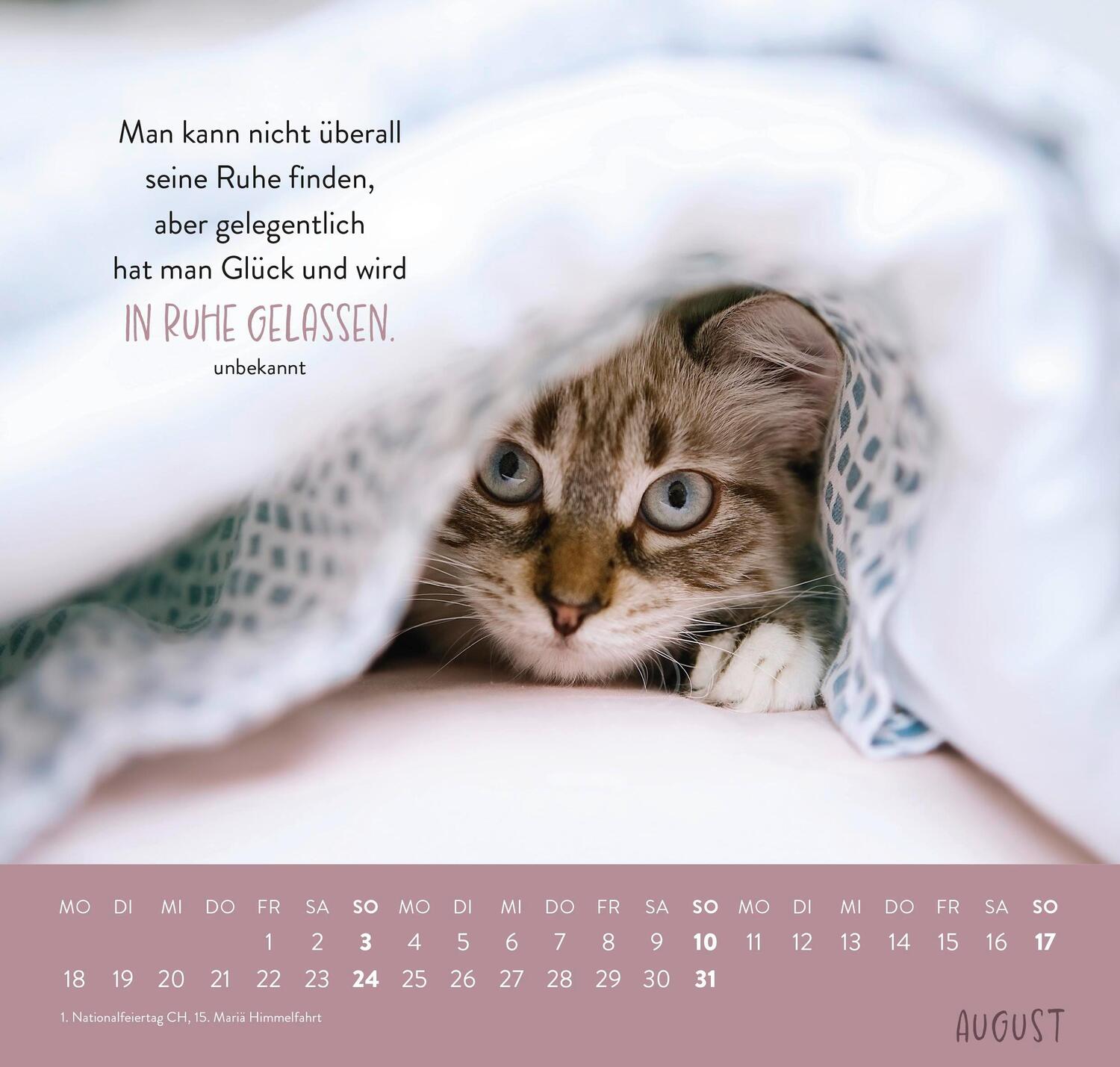 Bild: 4036442011881 | Wandkalender 2025: Für Katzenfreunde | Groh Verlag | Kalender | 12 S.