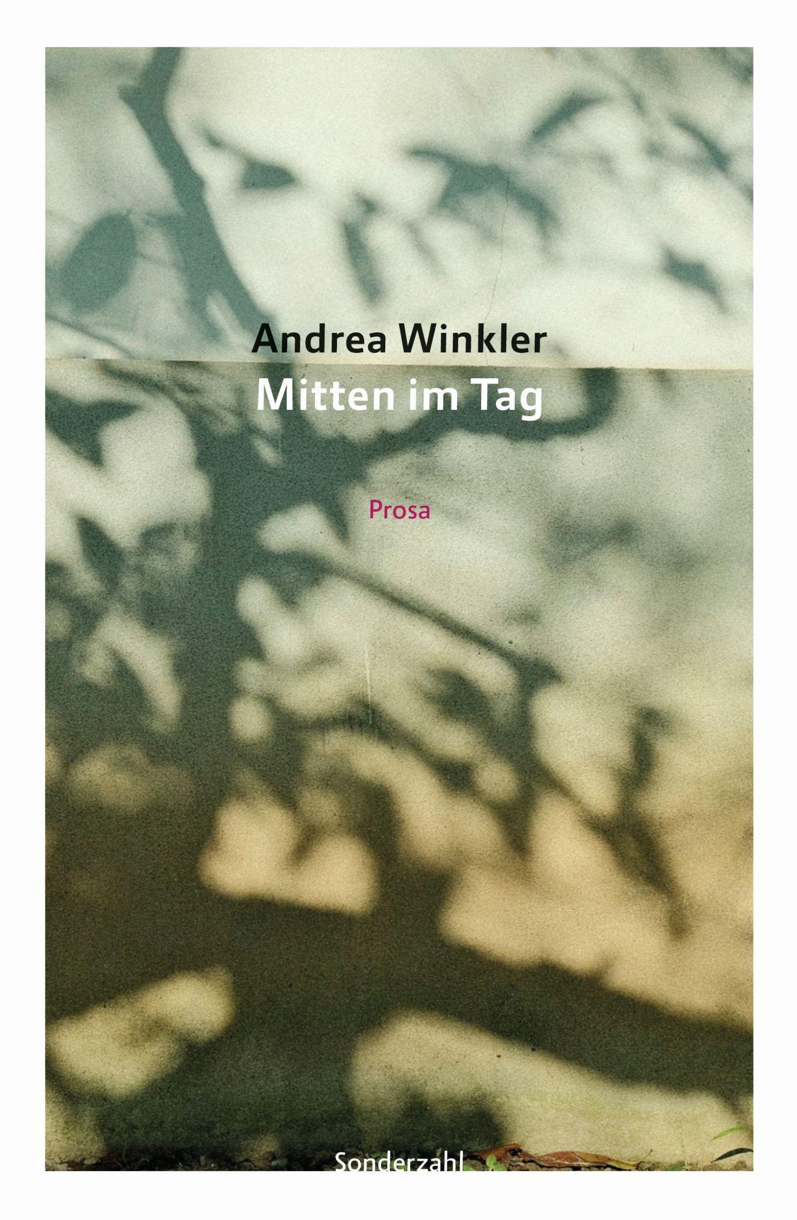 Cover: 9783854496700 | Mitten im Tag | Andrea Winkler | Taschenbuch | Deutsch | 2025