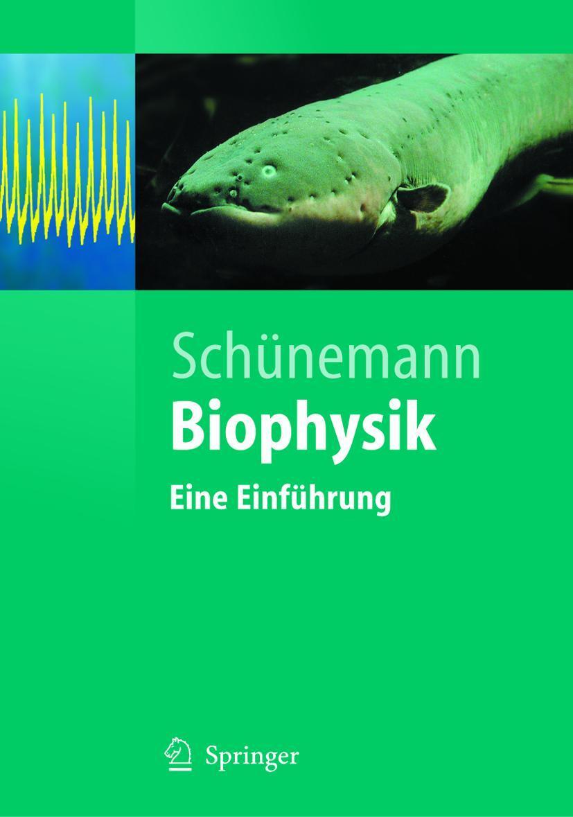 Cover: 9783540211631 | Biophysik | Eine Einführung | Volker Schünemann | Taschenbuch | xiv