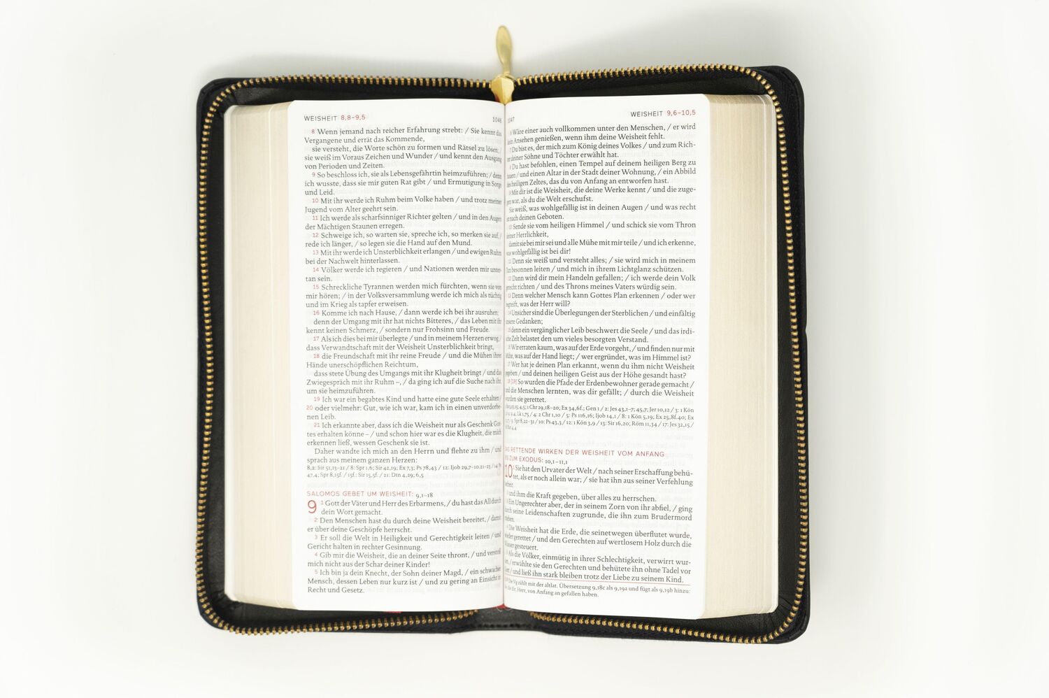 Bild: 9783460440494 | Die Bibel. Taschenausgabe nobilis Echtleder mit Reißverschluss | Buch