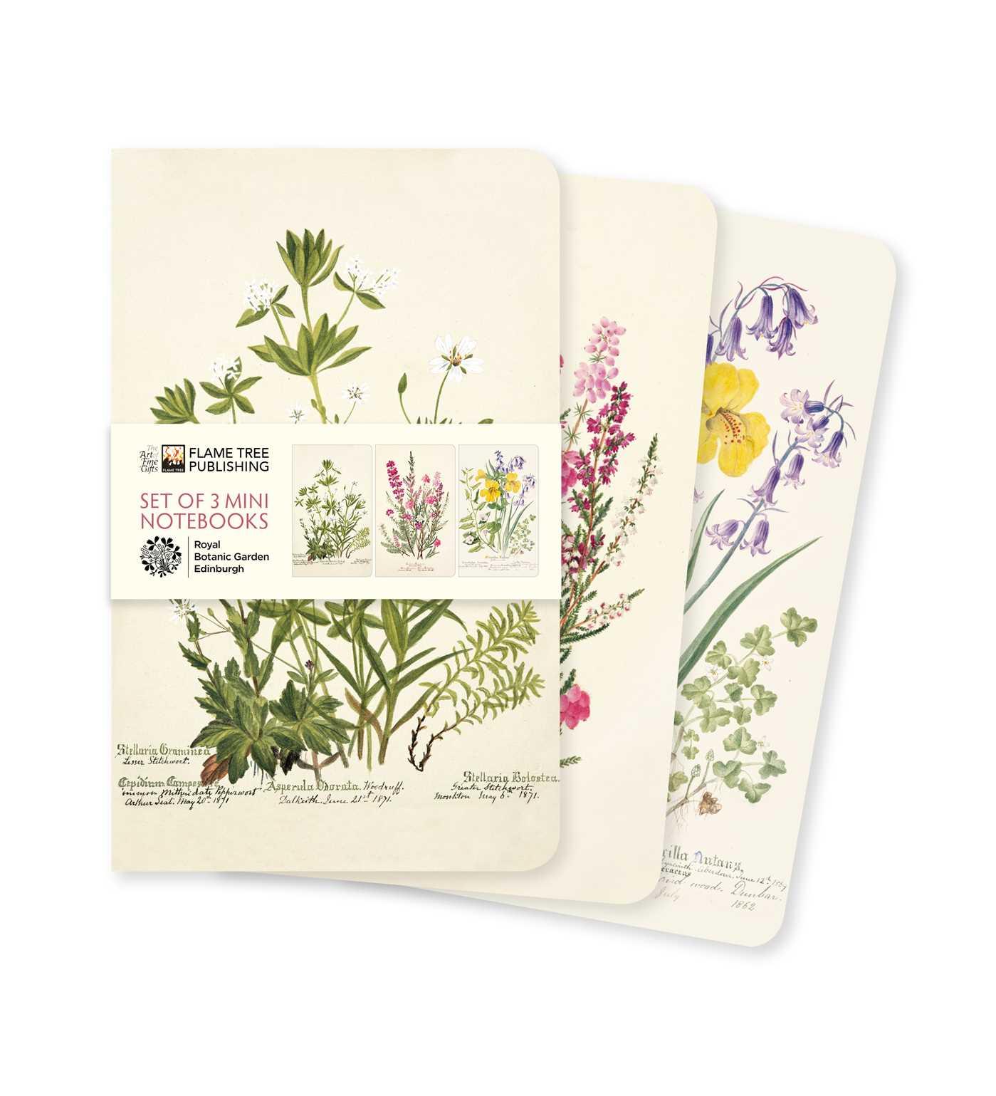 Cover: 9781804176429 | Royal Botanic Garden Edinburgh Set of 3 Mini Notebooks | Publishing