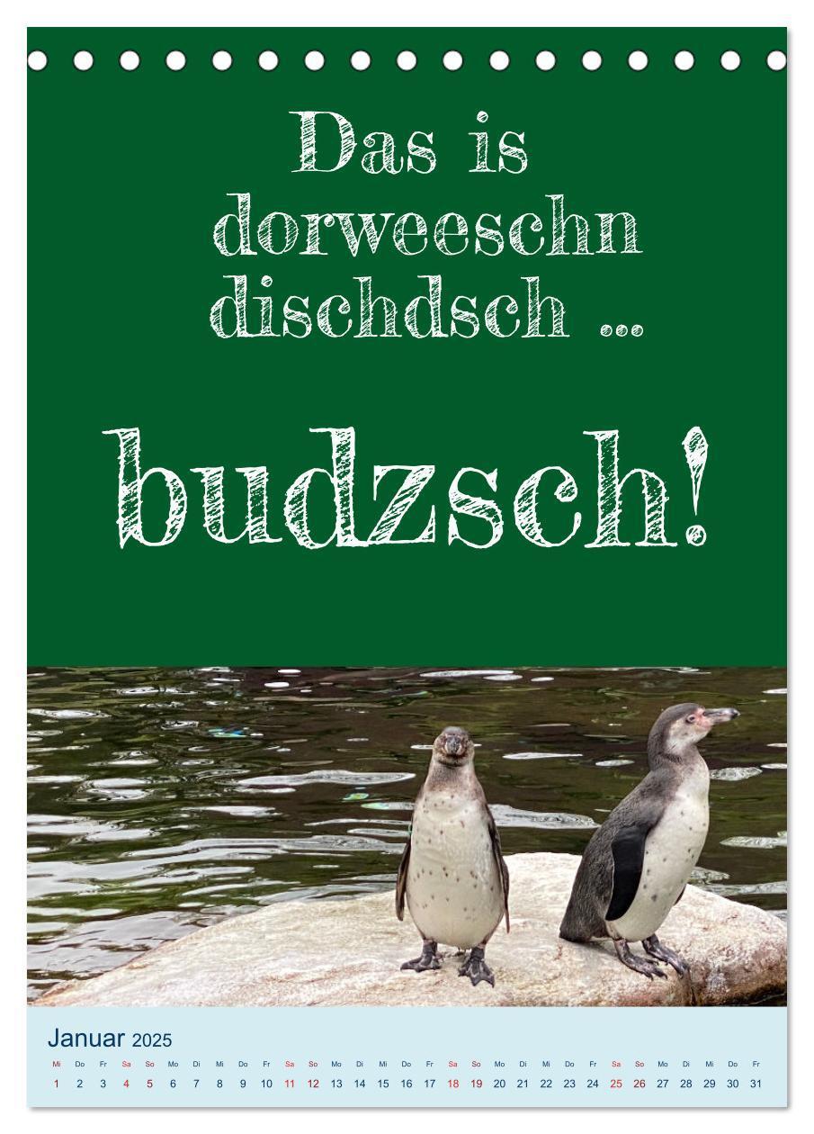 Bild: 9783435846245 | Ni schwäbborn! Mundart und Dialekt Kalender Sachsen (Tischkalender...