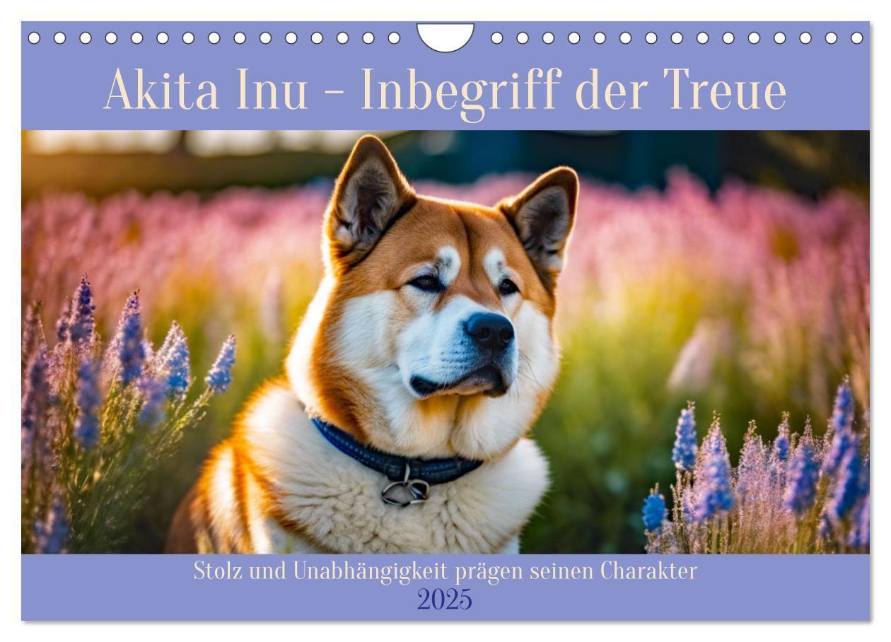 Cover: 9783457071649 | Akita Inu - Inbegriff der Treue (Wandkalender 2025 DIN A4 quer),...