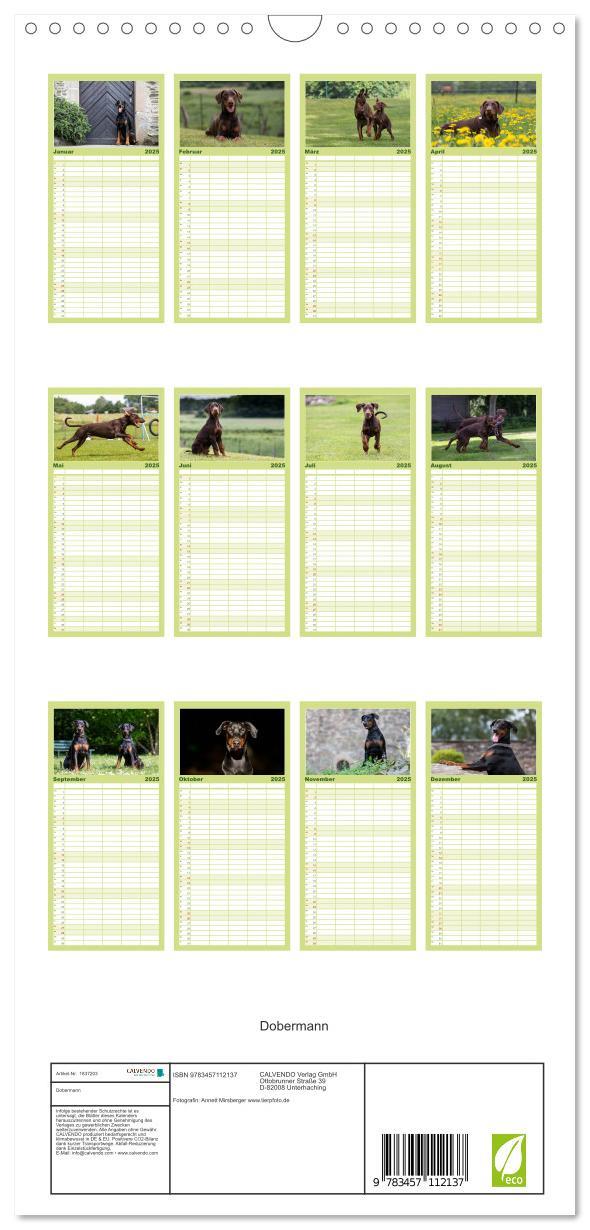 Bild: 9783457112137 | Familienplaner 2025 - Dobermann mit 5 Spalten (Wandkalender, 21 x...