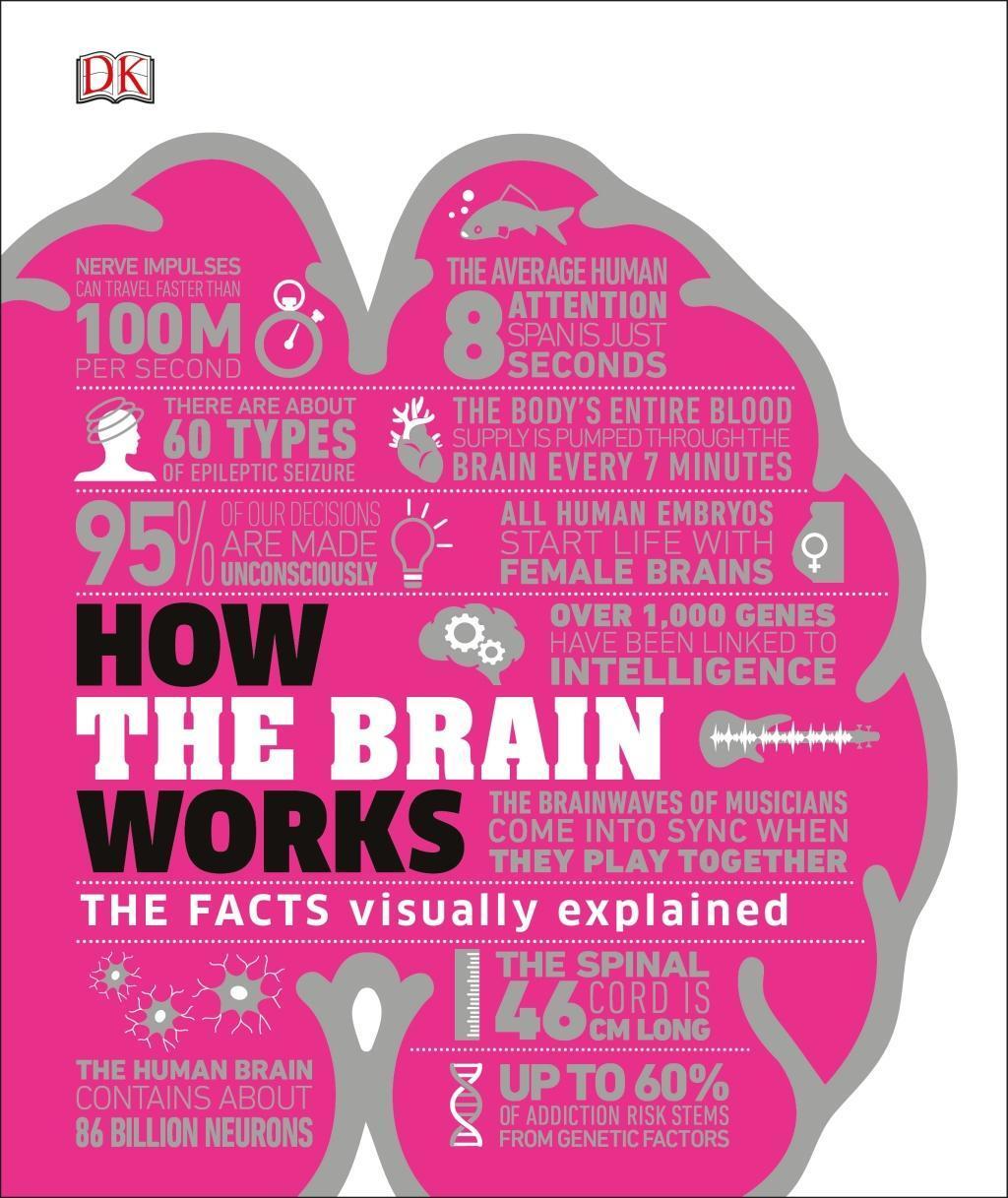 Cover: 9780241403372 | How the Brain Works | The Facts Visually Explained | Collin (u. a.)