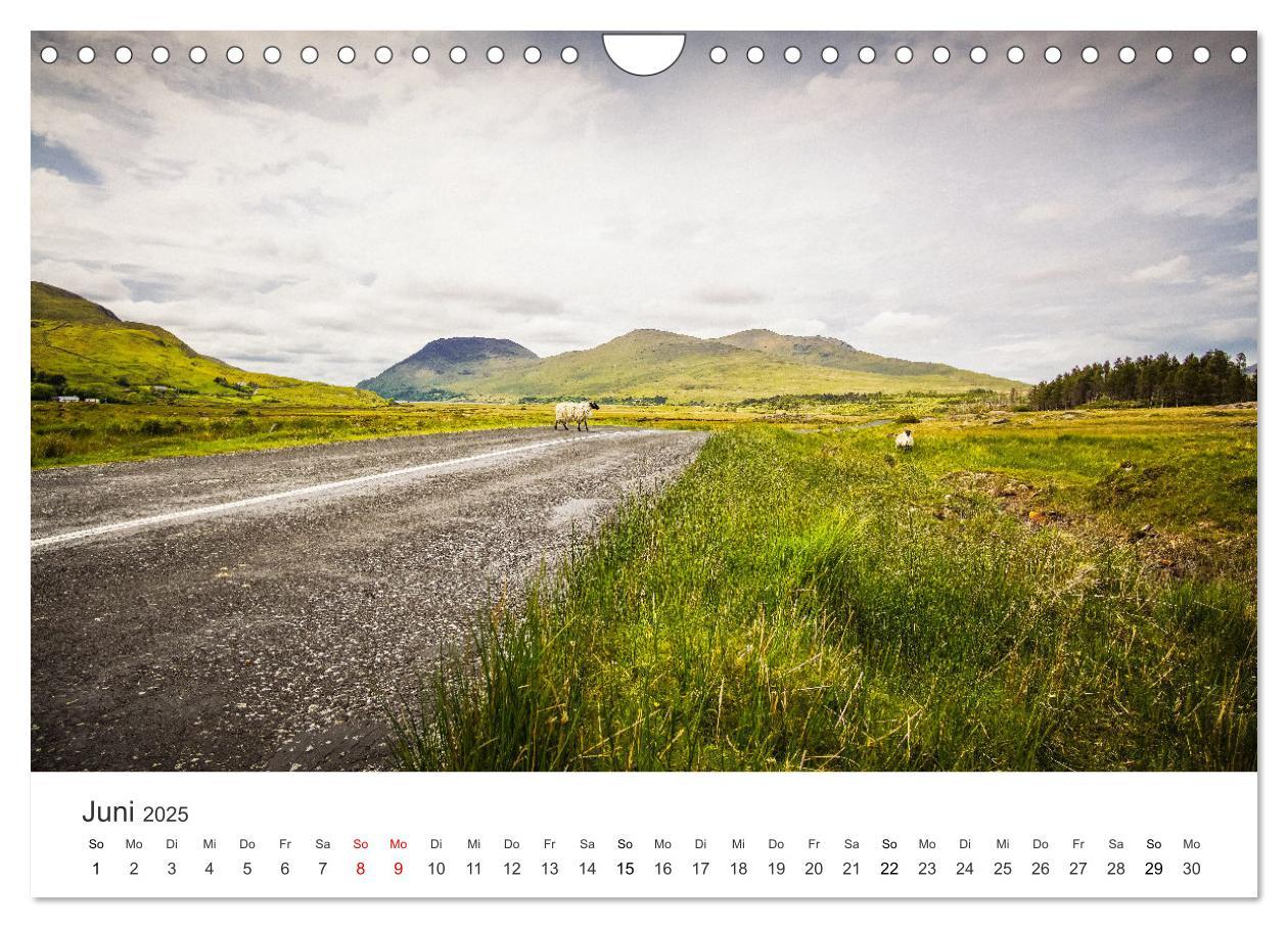 Bild: 9783435076260 | Abenteuerinsel Irland (Wandkalender 2025 DIN A4 quer), CALVENDO...