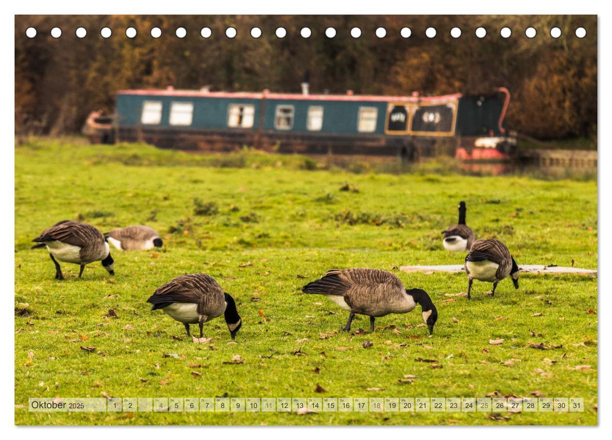 Bild: 9783435360154 | Narrow Boating auf dem Grand Union Canal (Tischkalender 2025 DIN A5...