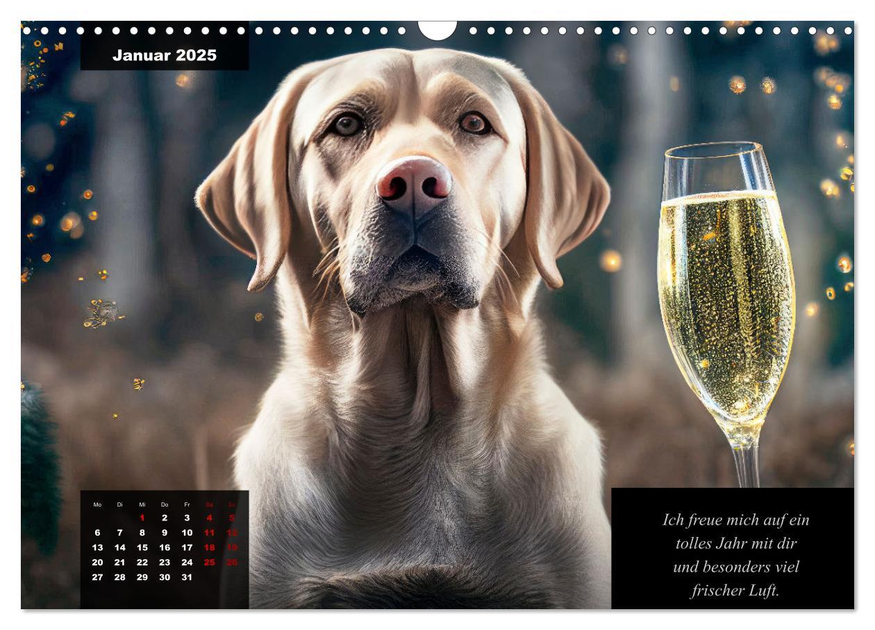 Bild: 9783435368143 | Der witzige Labrador-Kalender (Wandkalender 2025 DIN A3 quer),...