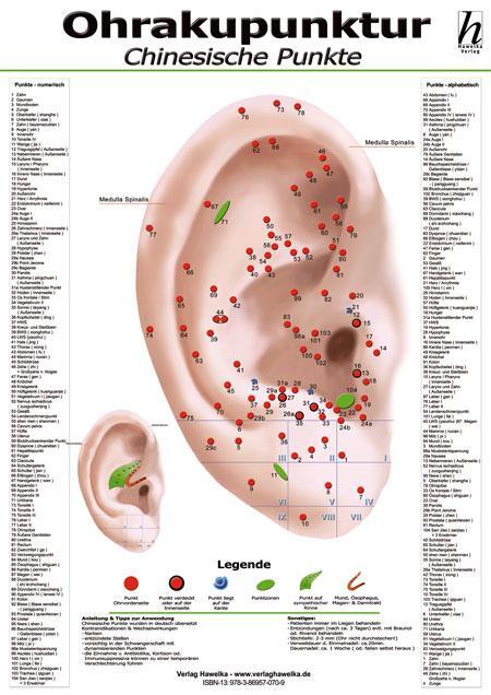Cover: 9783869570754 | Ohrakupunktur Mini-Poster - chinesische Punkte DIN A4 | Poster | 2010