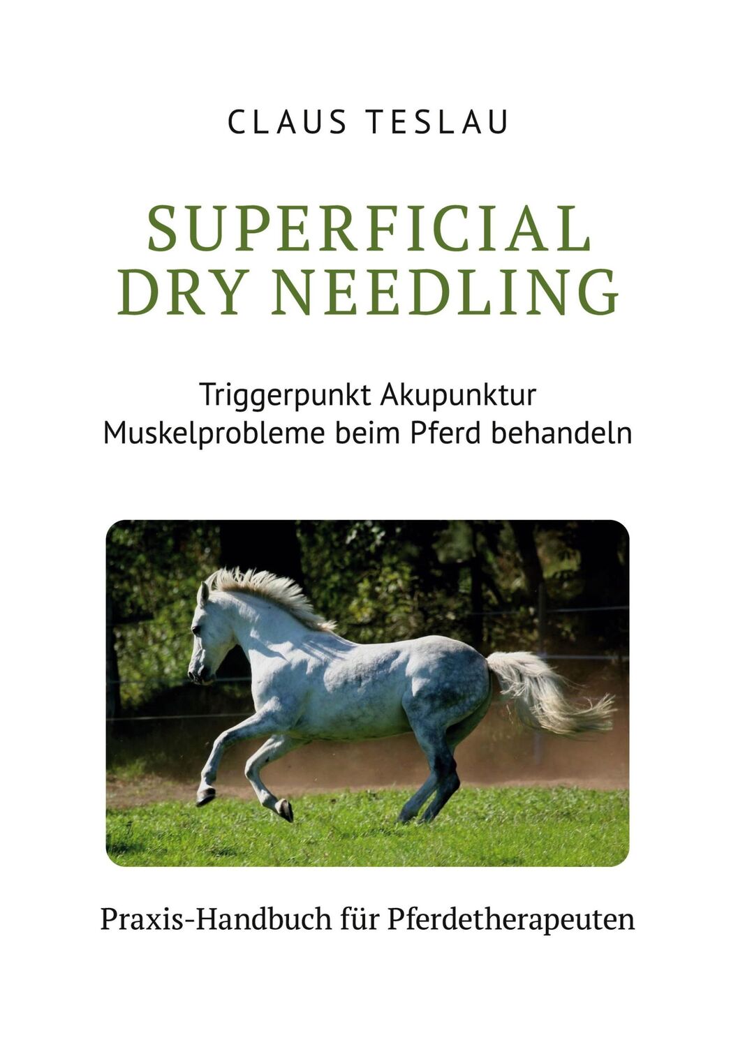 Cover: 9783759709424 | Superficial Dry Needling | Claus Teslau | Taschenbuch | Paperback