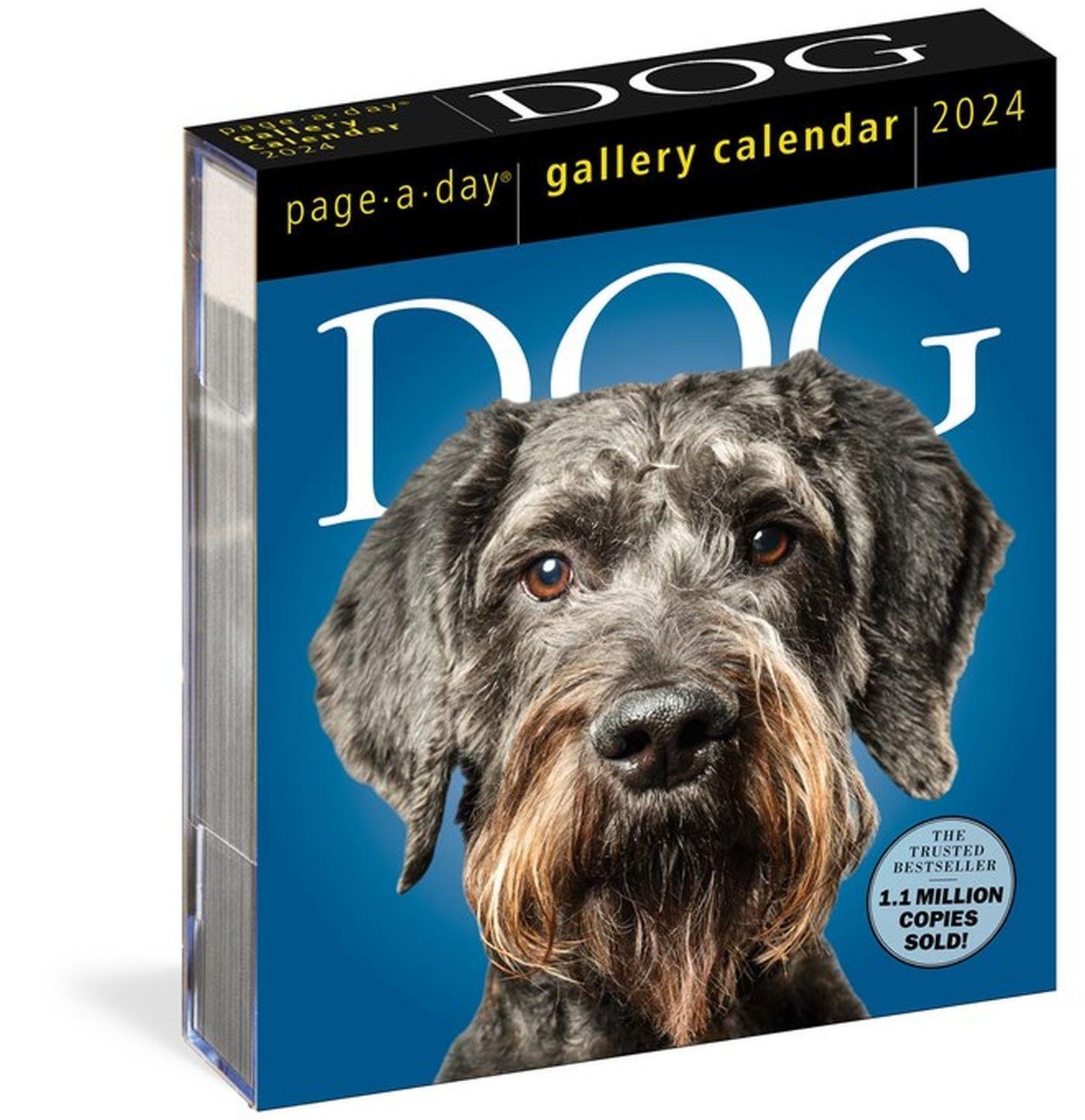 Cover: 9781523519804 | Dog Page-A-Day Gallery Calendar 2024 | An Elegant Canine Celebration