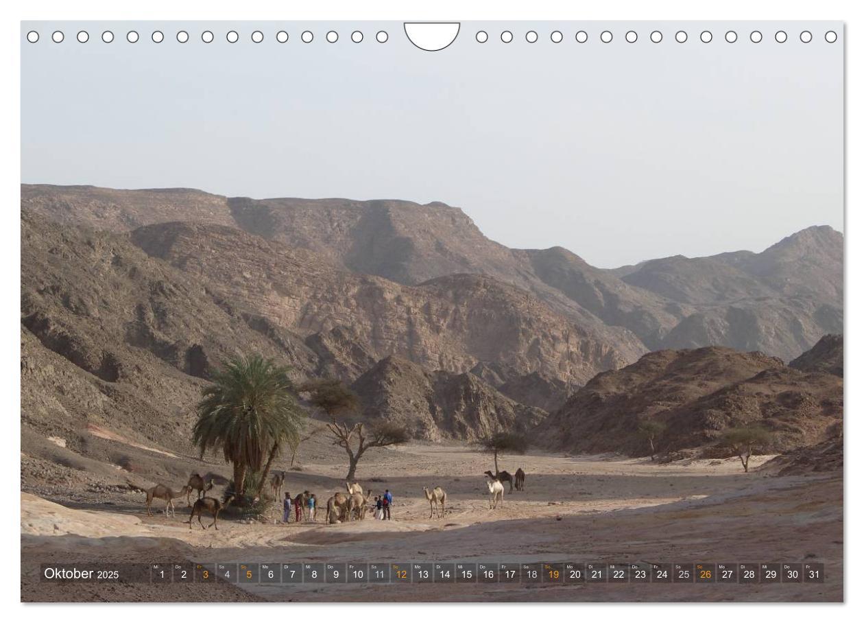 Bild: 9783435525904 | Impressionen Kameltrekking Sinai 2025 (Wandkalender 2025 DIN A4...