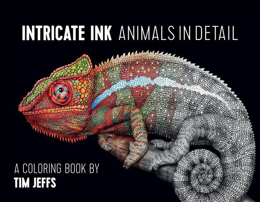 Cover: 9780764974694 | CBA Jeffs/Intricate Ink | Buch | Gebunden | Englisch | 2016