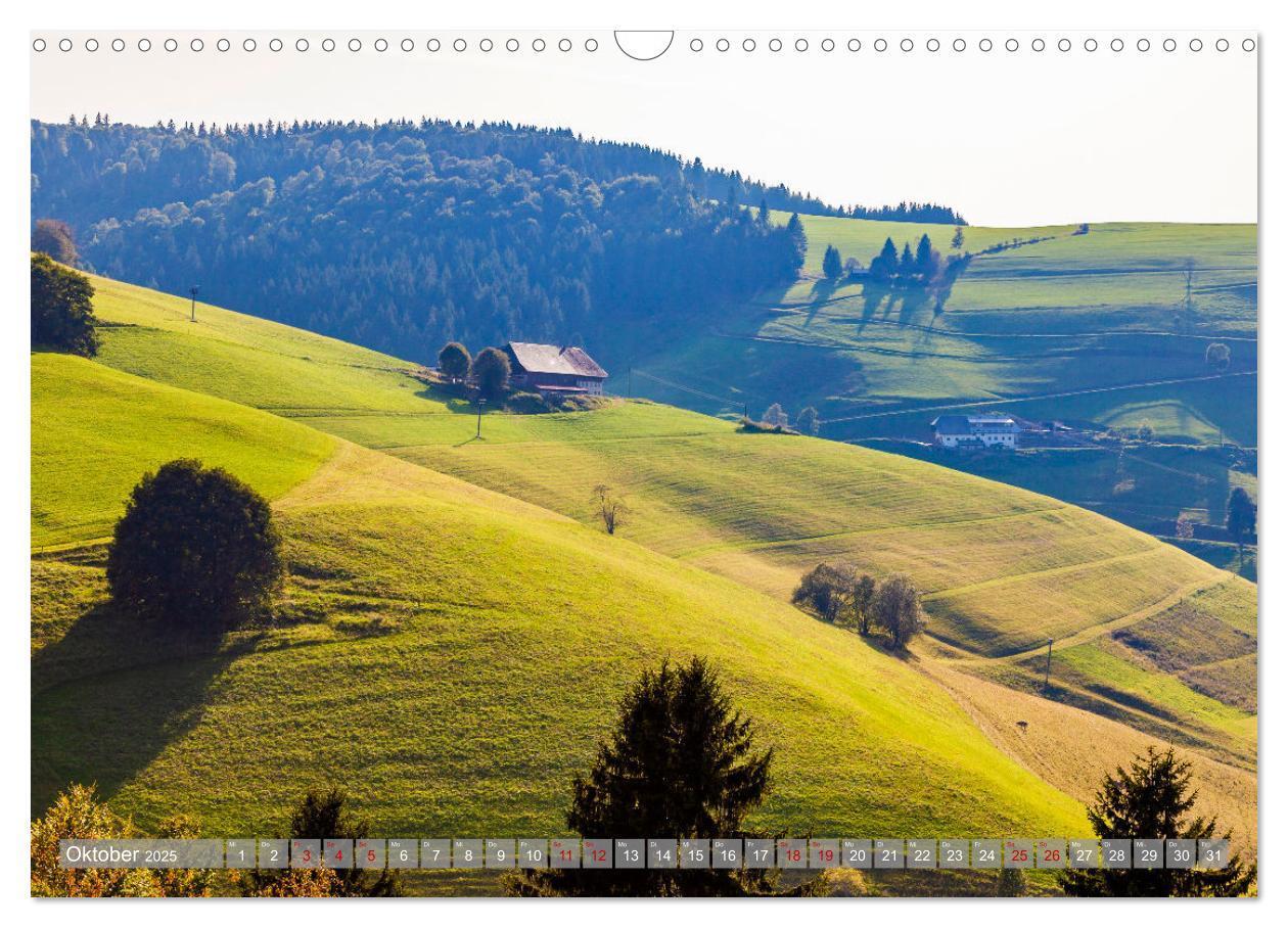 Bild: 9783435076758 | Ein Jahr im Schwarzwald (Wandkalender 2025 DIN A3 quer), CALVENDO...