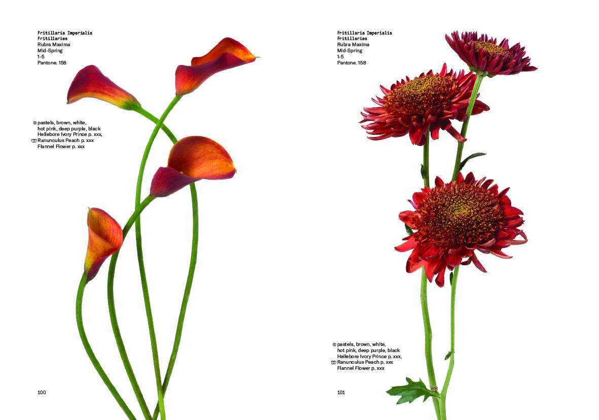 Bild: 9780714878300 | Flower Colour Guide | Darroch Putnam (u. a.) | Taschenbuch | 485 S.