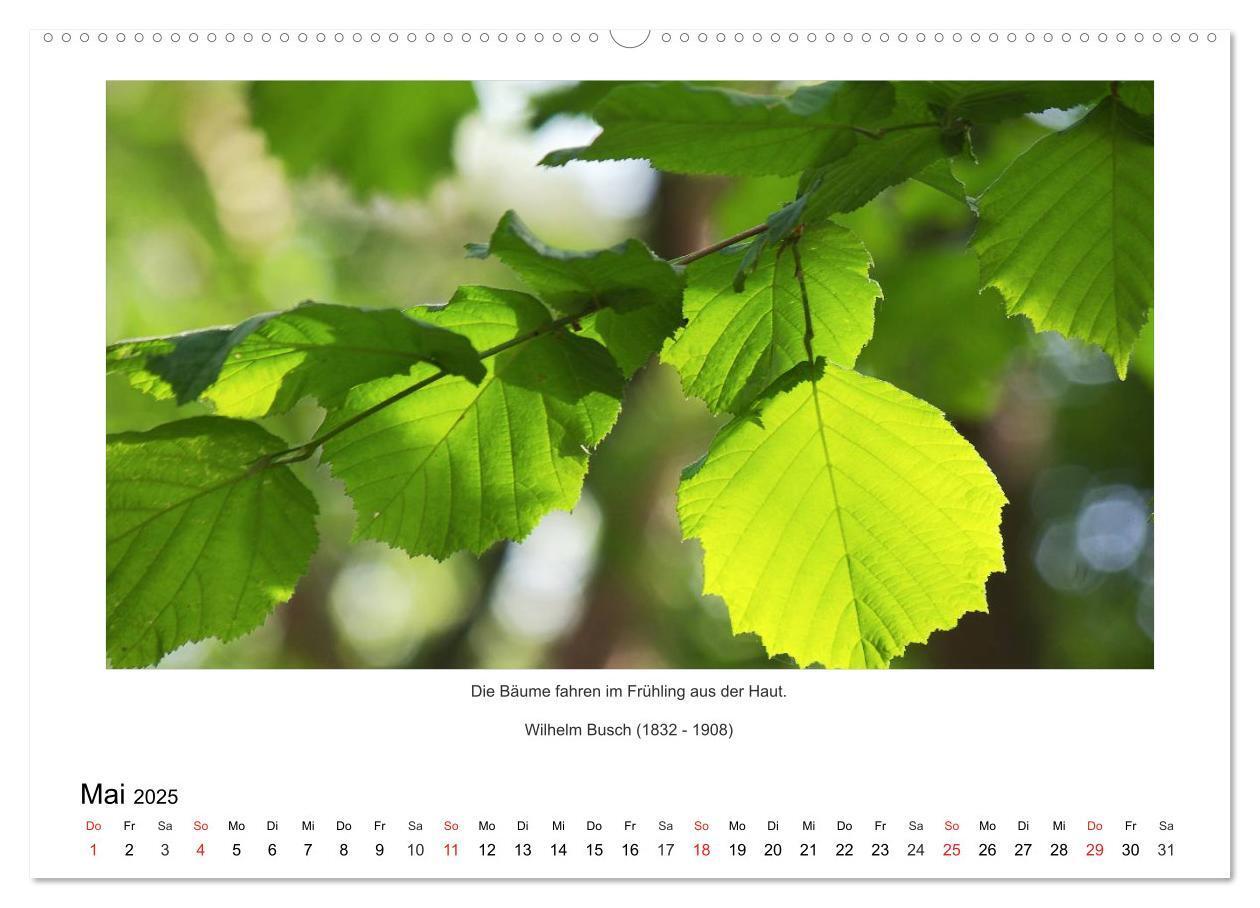 Bild: 9783435672882 | Der Naturkalender mit Zitaten und Sprüchen (Wandkalender 2025 DIN...