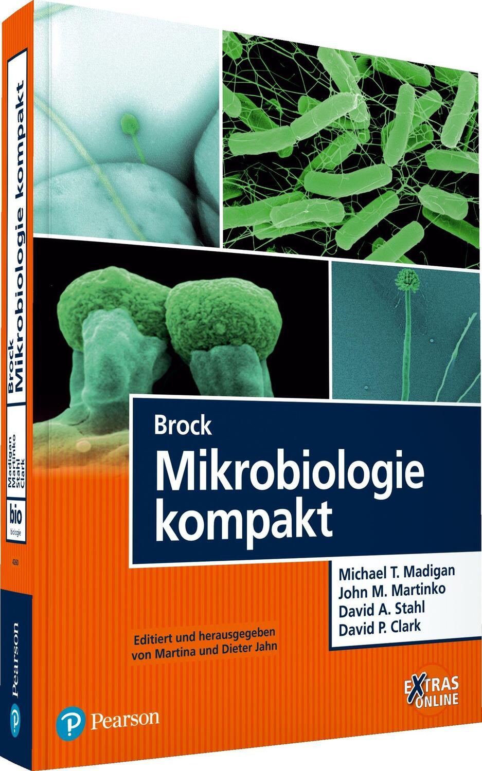 Cover: 9783868942606 | Brock Mikrobiologie kompakt | Michael T. Madigan (u. a.) | Taschenbuch