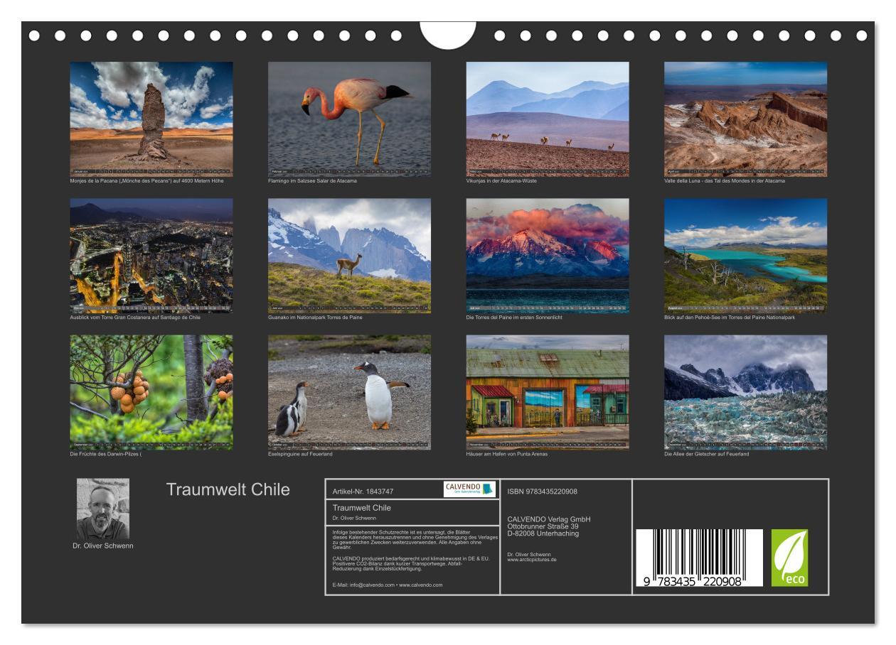 Bild: 9783435220908 | Traumwelt Chile (Wandkalender 2025 DIN A4 quer), CALVENDO...