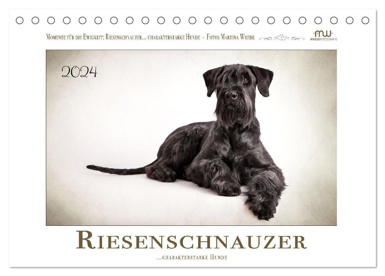 Cover: 9783675422063 | Riesenschnauzer... charakterstarke Hunde (Tischkalender 2024 DIN A5...