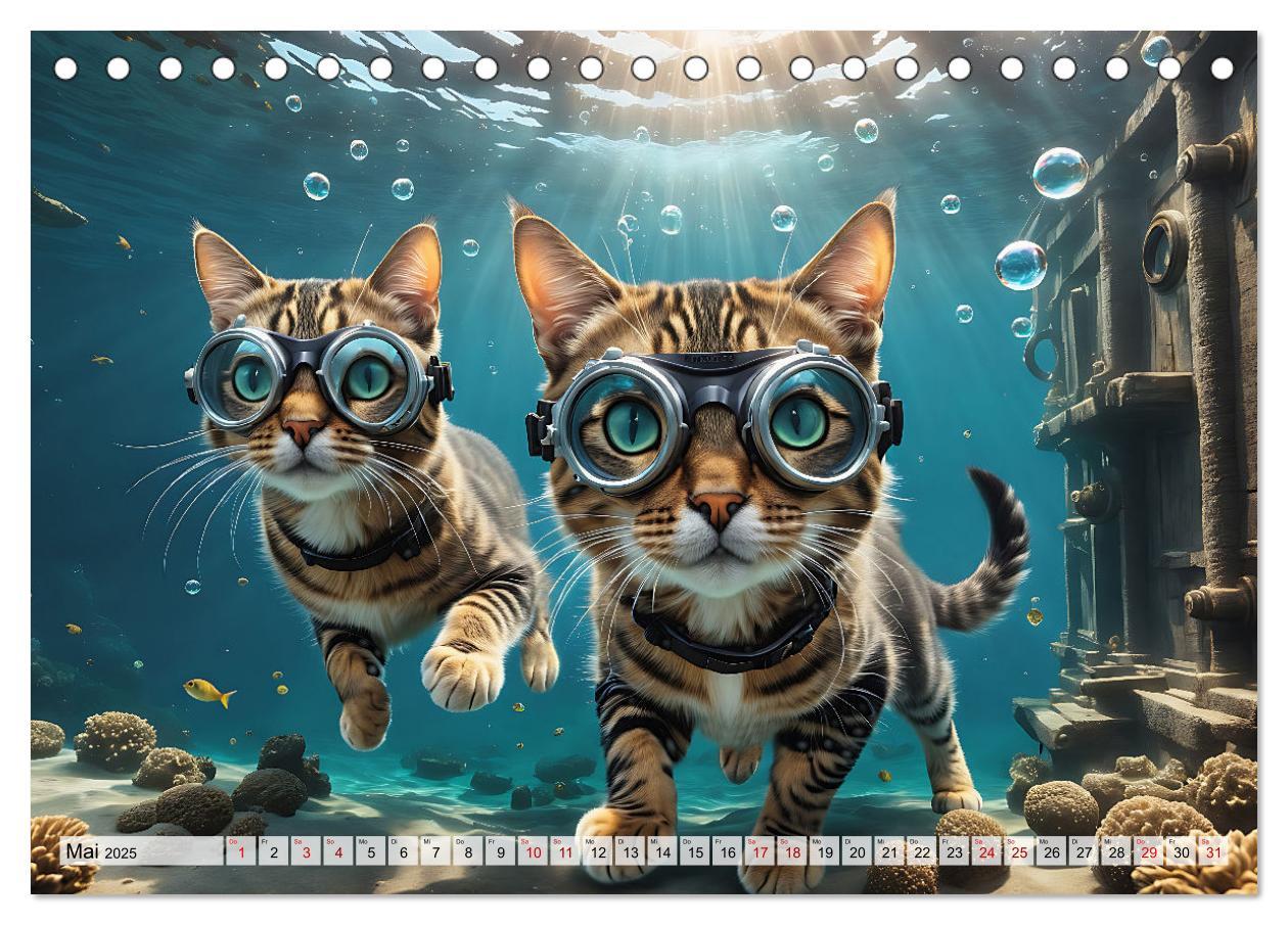 Bild: 9783383843945 | Katzen unter Wasser (Tischkalender 2025 DIN A5 quer), CALVENDO...