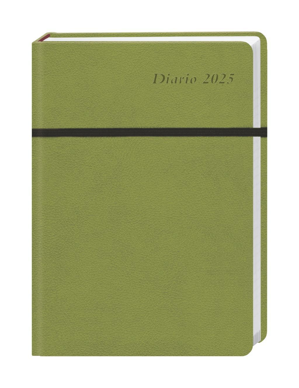 Cover: 9783756407996 | Diario Wochen-Kalenderbuch A6, grün 2025 | Buch | Bürokalender Heye