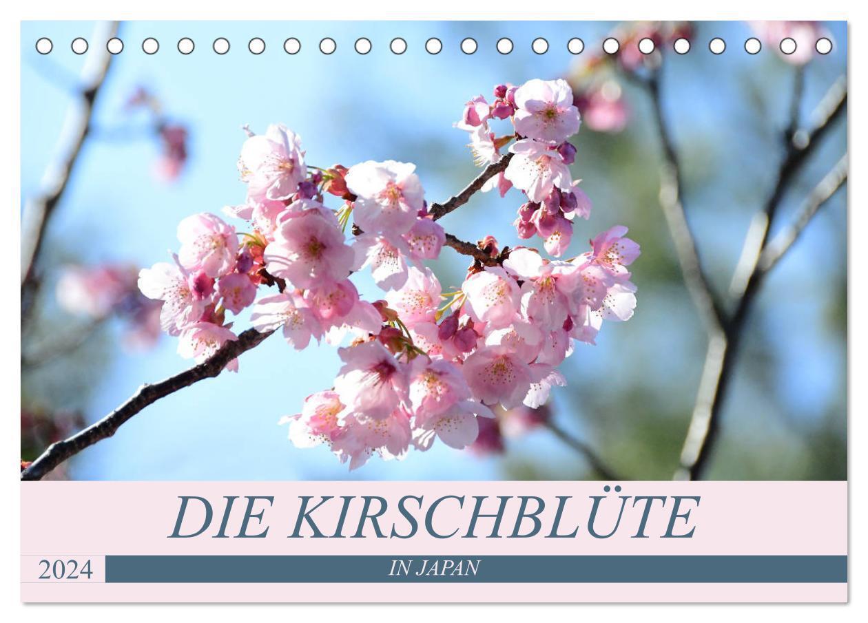 Cover: 9783675676510 | Die Kirschblüte in Japan (Tischkalender 2024 DIN A5 quer), CALVENDO...