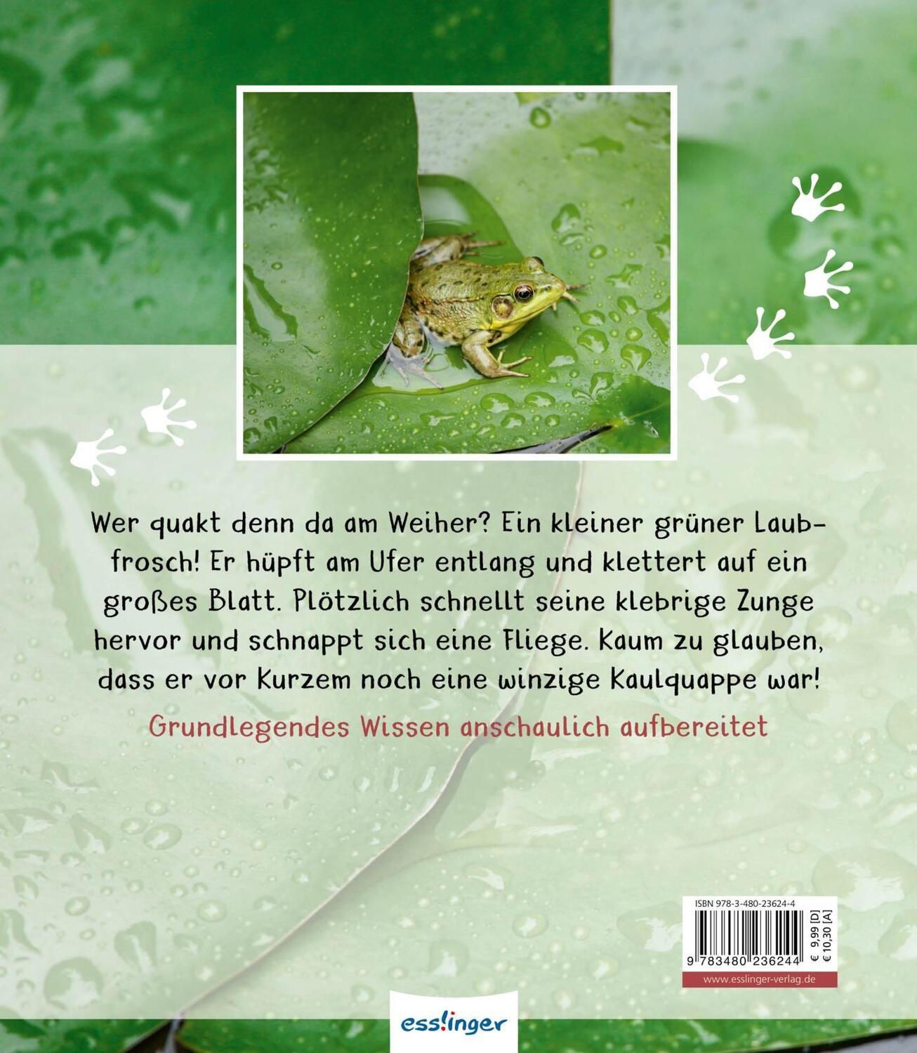 Rückseite: 9783480236244 | Meine große Tierbibliothek: Der Frosch | Paul Starosta | Buch | 32 S.
