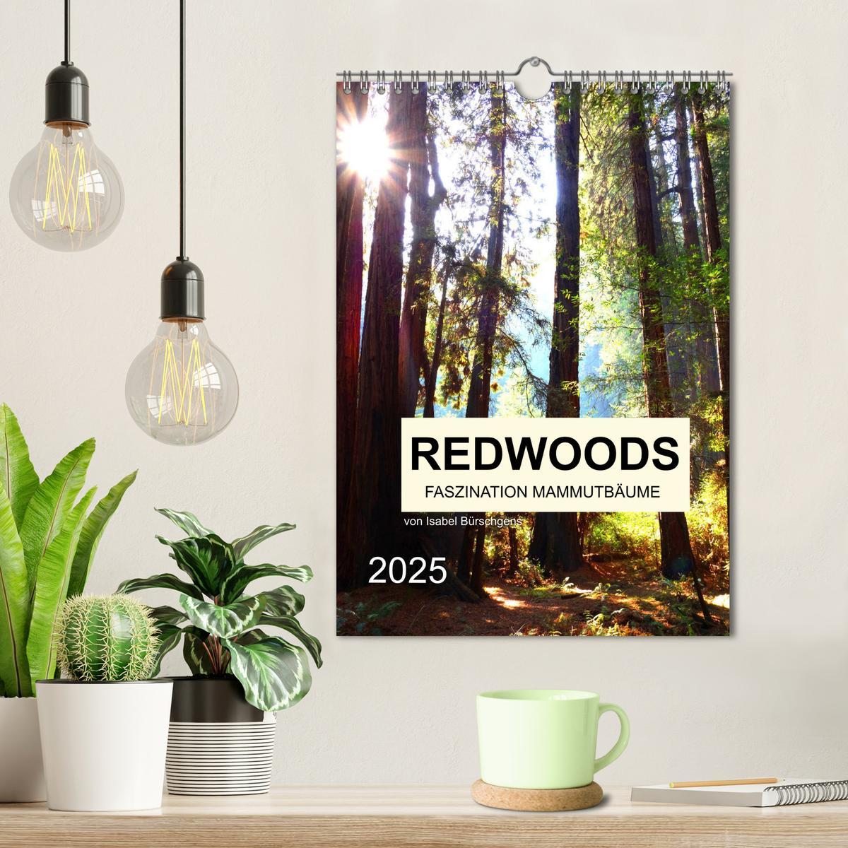 Bild: 9783435979240 | Redwoods - Faszination Mammutbäume (Wandkalender 2025 DIN A4 hoch),...