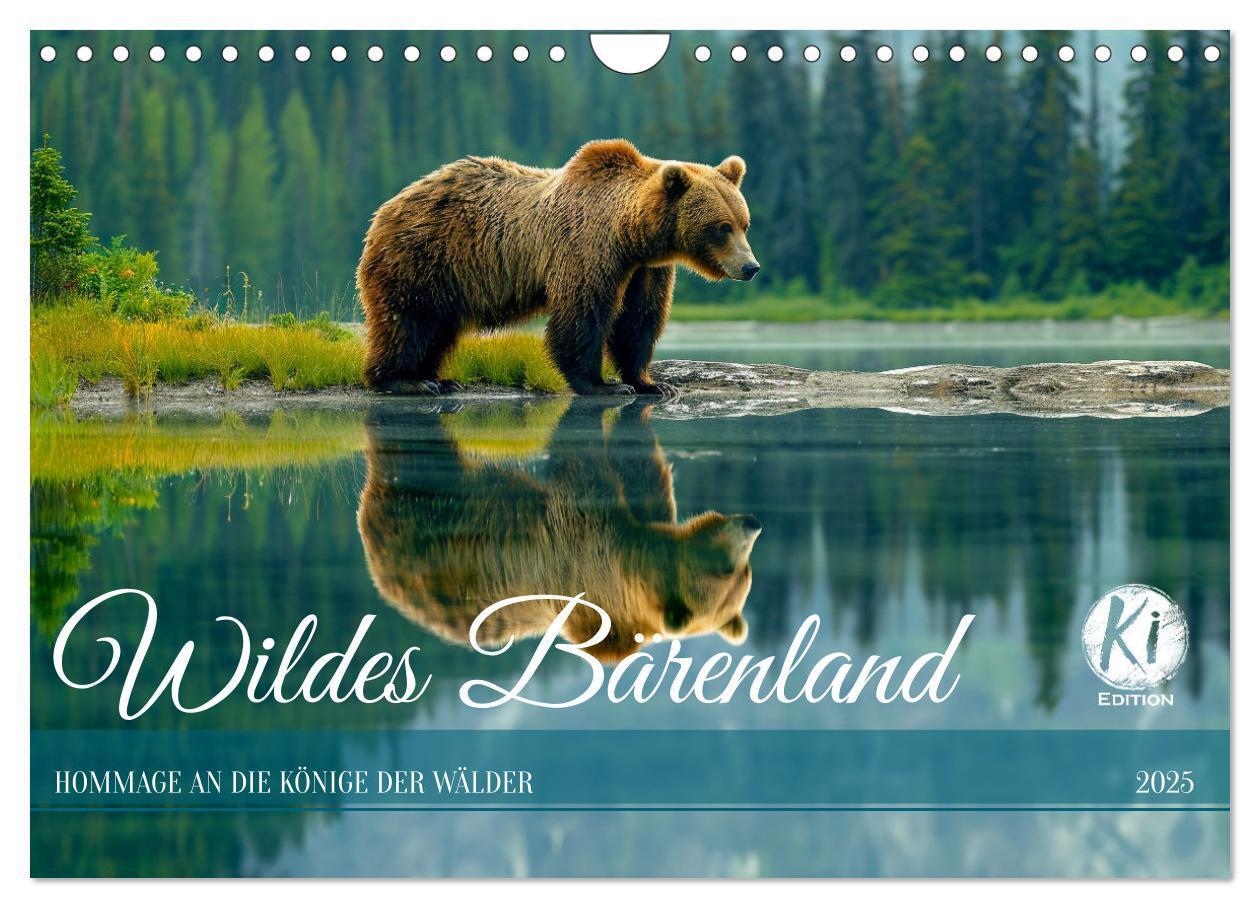 Cover: 9783383818837 | Wildes Bärenland (Wandkalender 2025 DIN A4 quer), CALVENDO...