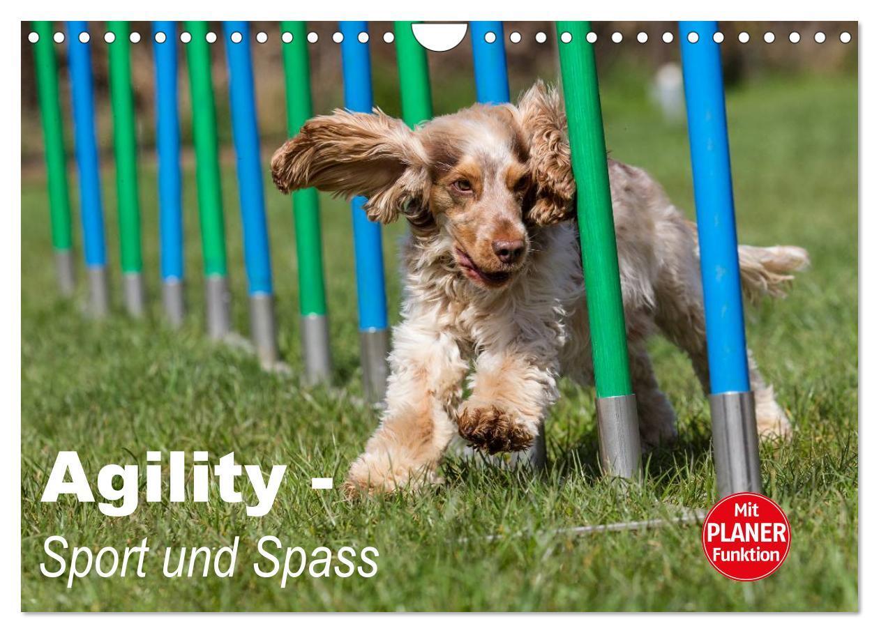 Cover: 9783435555918 | Agility - Sport und Spass (Wandkalender 2025 DIN A4 quer), CALVENDO...