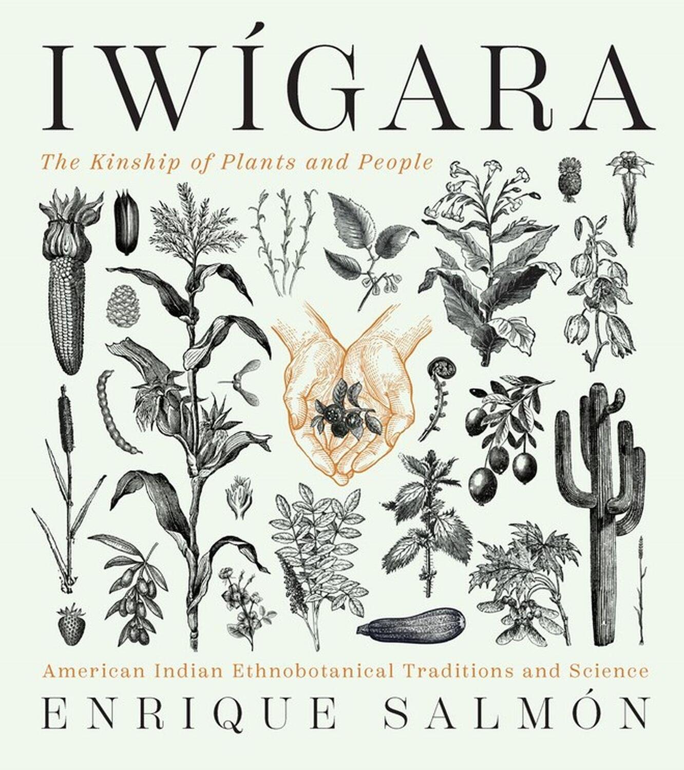 Cover: 9781604698800 | Iwigara | American Indian Ethnobotanical Traditions and Science | Buch