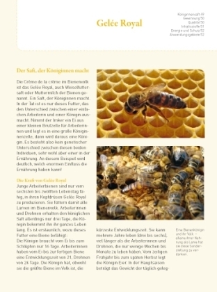 Bild: 9783440111659 | Honig, Pollen, Propolis | Sanfte Heilkraft aus dem Bienenstock | Bort