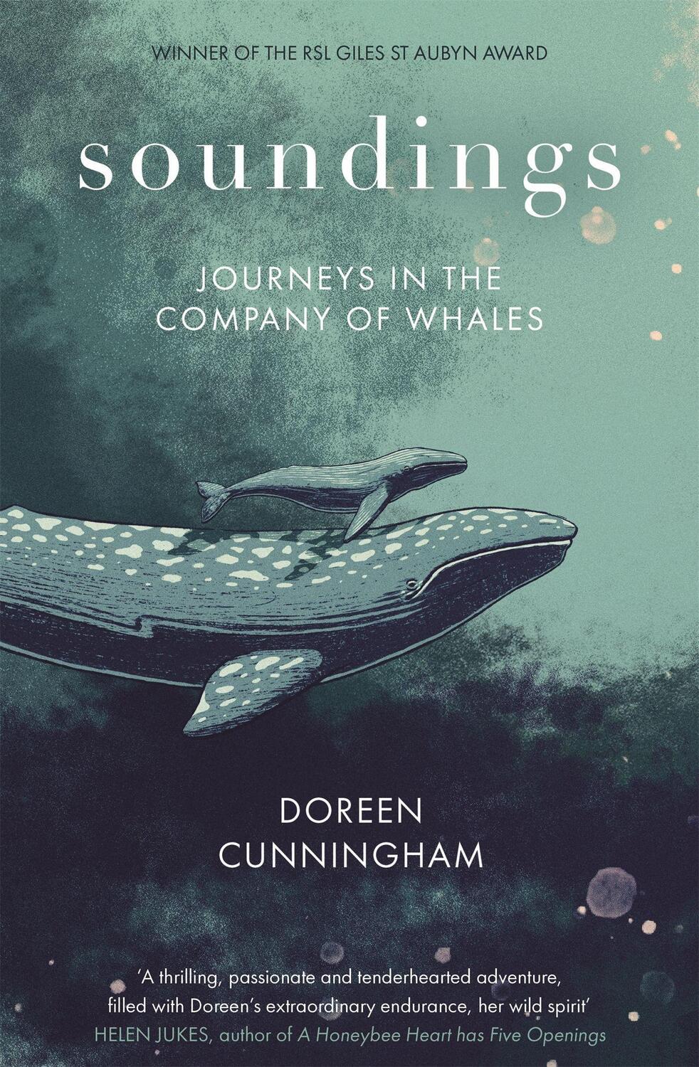 Cover: 9780349014951 | Soundings | Journeys in the Company of Whales | Doreen Cunningham