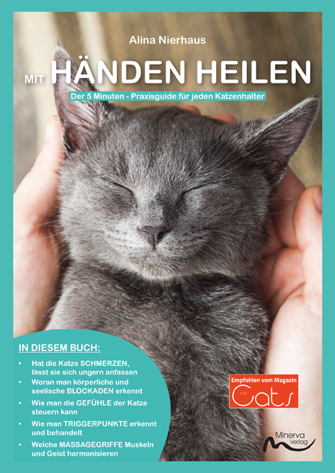 Cover: 9783910503014 | Mit Händen heilen | Der 5 Minuten - Praxisguide für jeden Katzenhalter