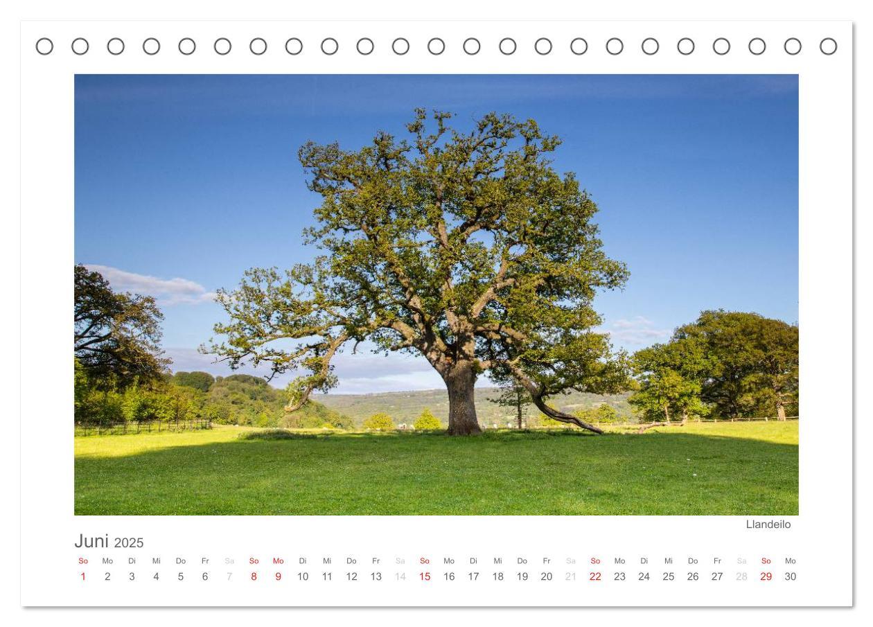 Bild: 9783435765782 | Eine Reise durch Wales (Tischkalender 2025 DIN A5 quer), CALVENDO...