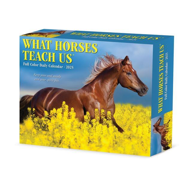 Cover: 9781549241123 | What Horses Teach Us 2025 6.2 X 5.4 Box Calendar | Willow Creek Press