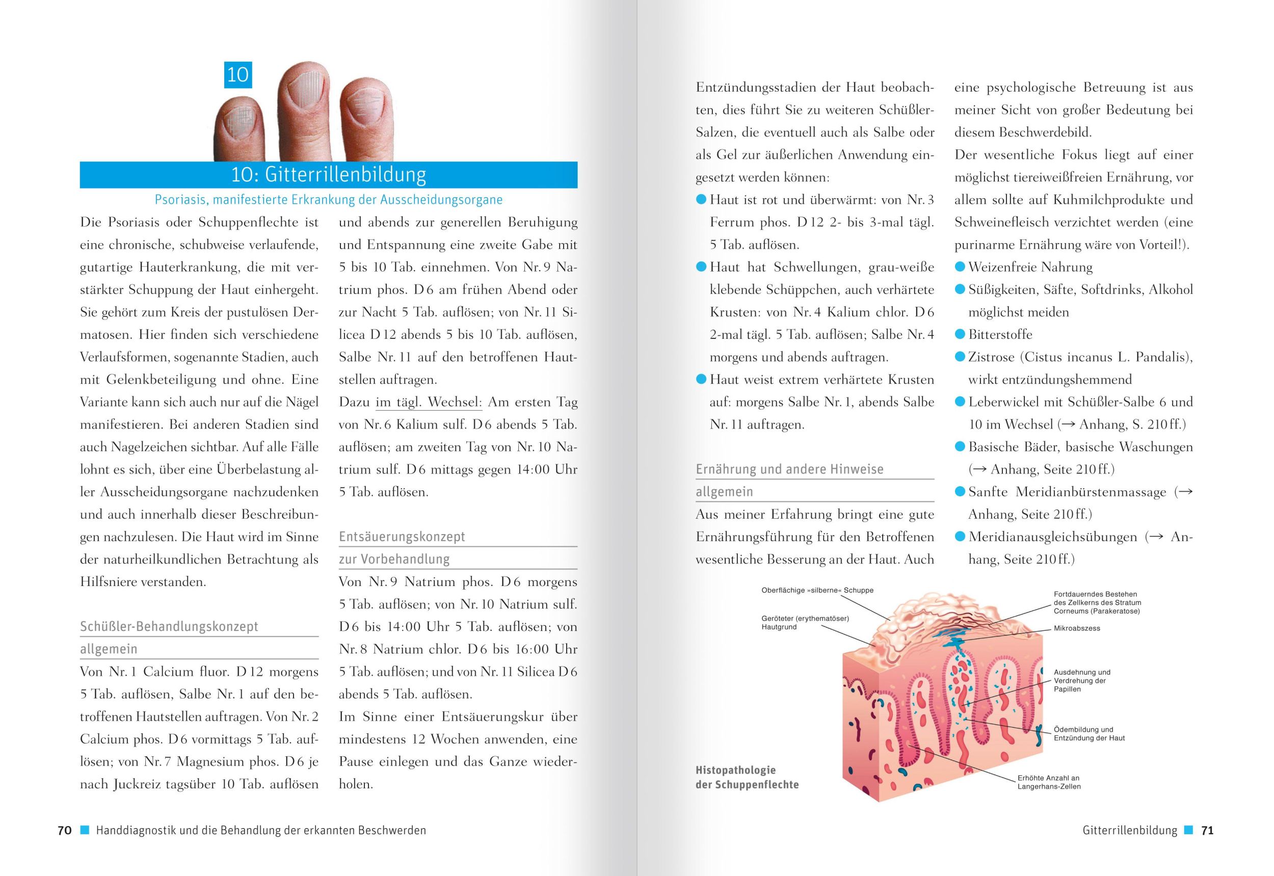 Bild: 9783863744557 | Schüßler-Salze - Gesichts- und Handdiagnostik | Reichenberg | Buch