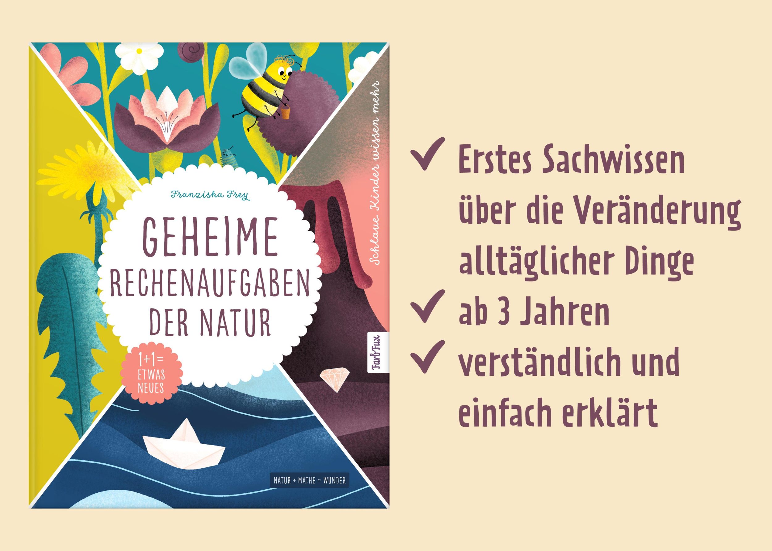 Bild: 9783690280259 | Geheime Rechenaufgaben der Natur | Franziska Frey | Buch | 44 S.