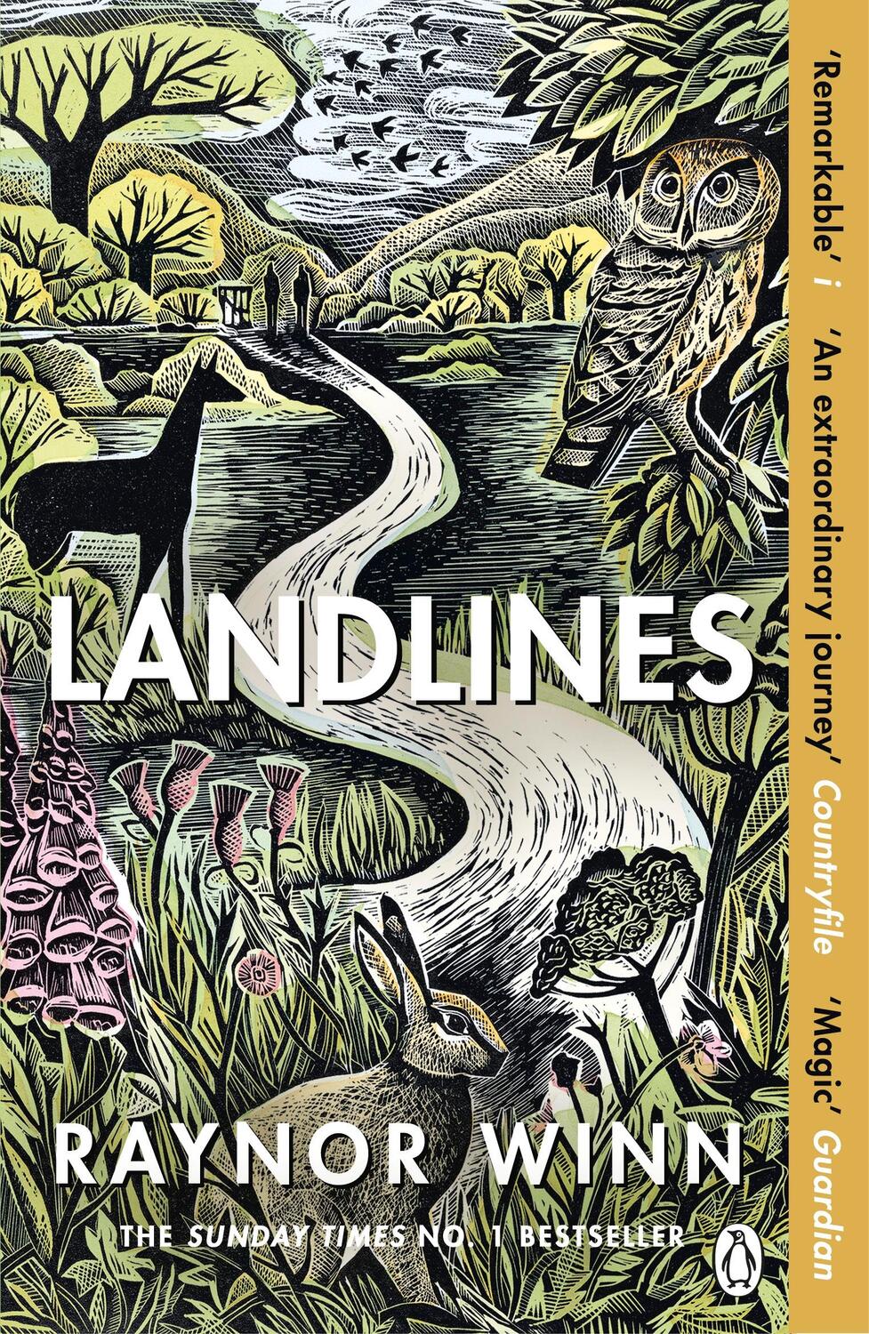 Cover: 9781405947787 | Landlines | Raynor Winn | Taschenbuch | B-format paperback | Englisch