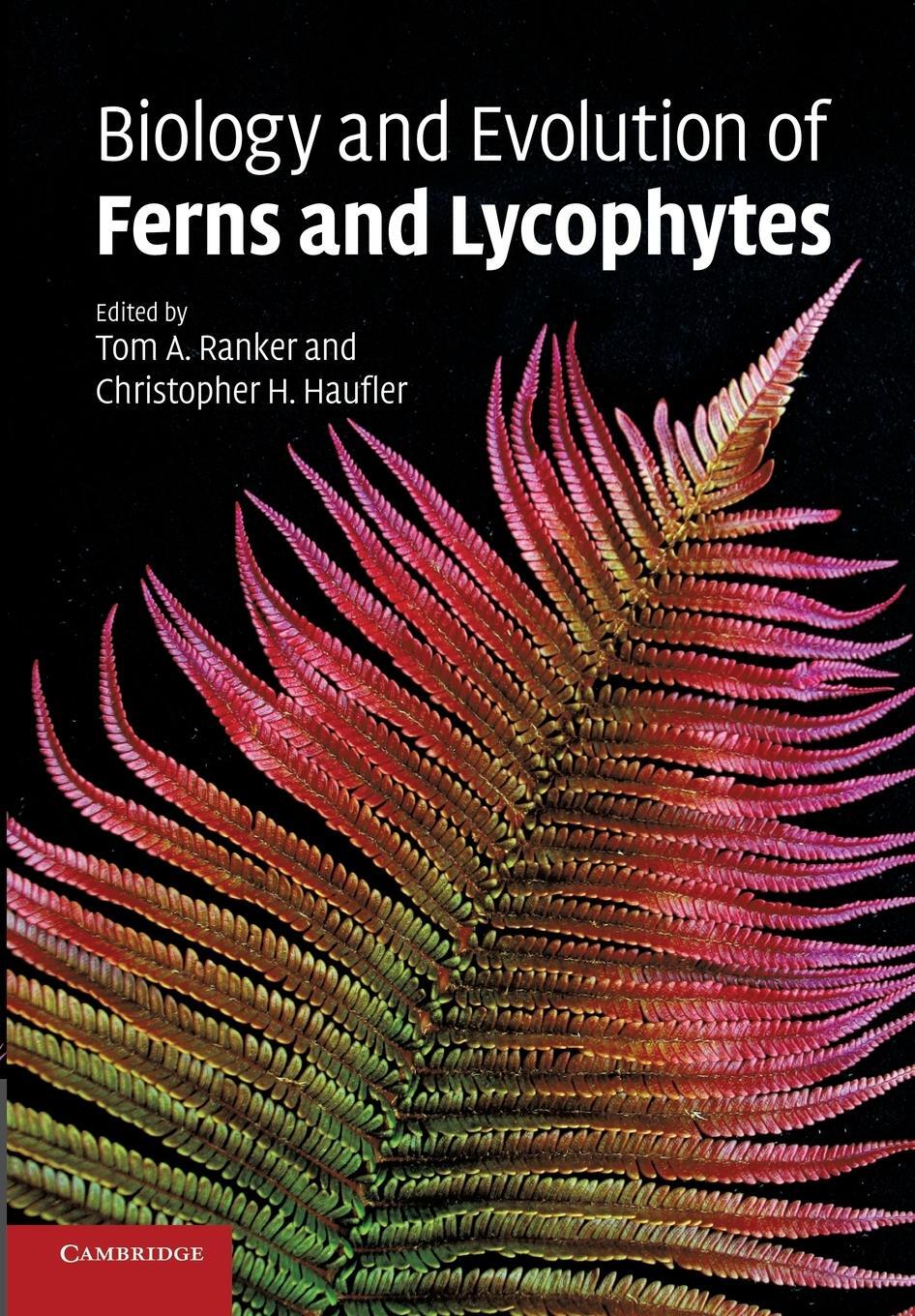 Cover: 9780521696890 | Biology and Evolution of Ferns and Lycophytes | Thomas Ranker | Buch