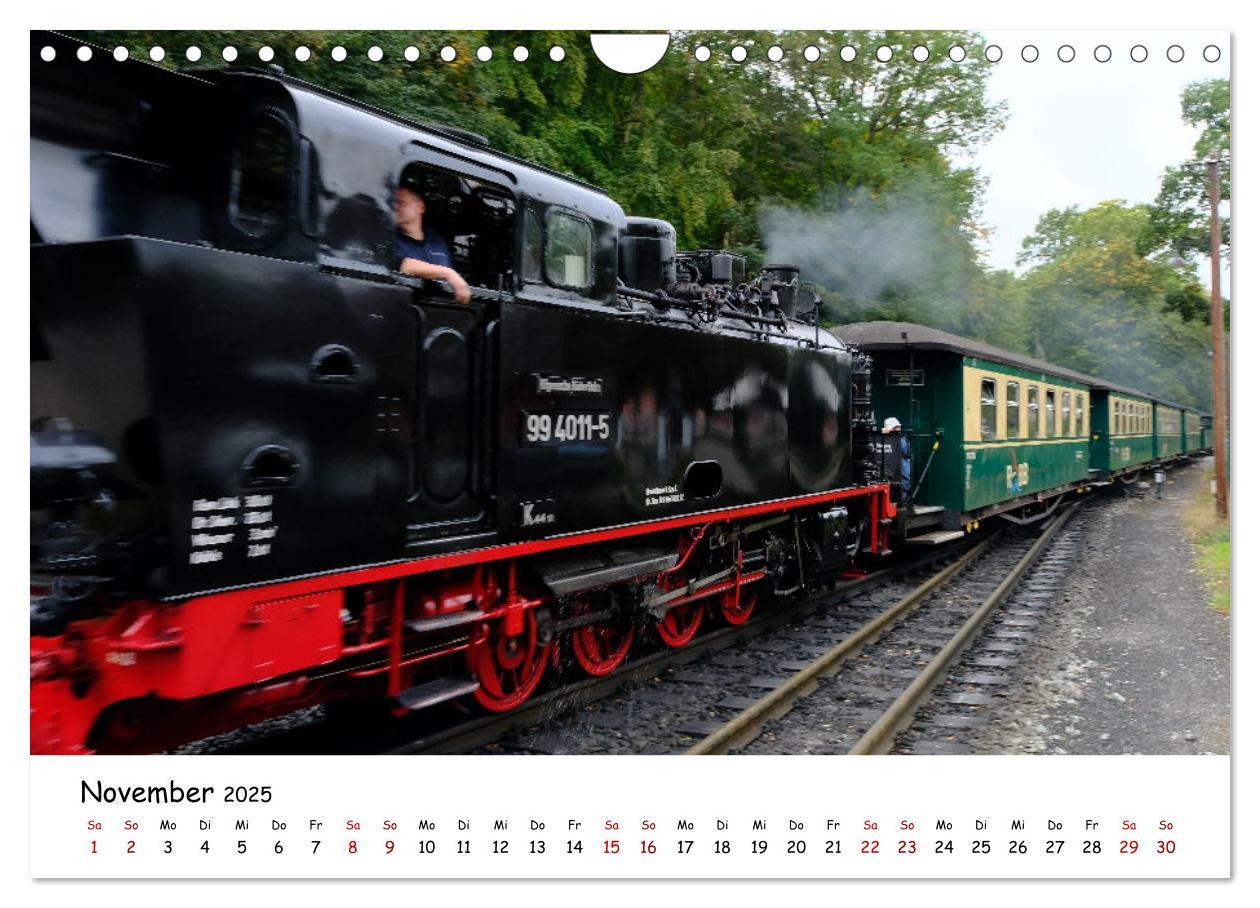 Bild: 9783383932014 | Rügens "rasender Roland" (Wandkalender 2025 DIN A4 quer), CALVENDO...