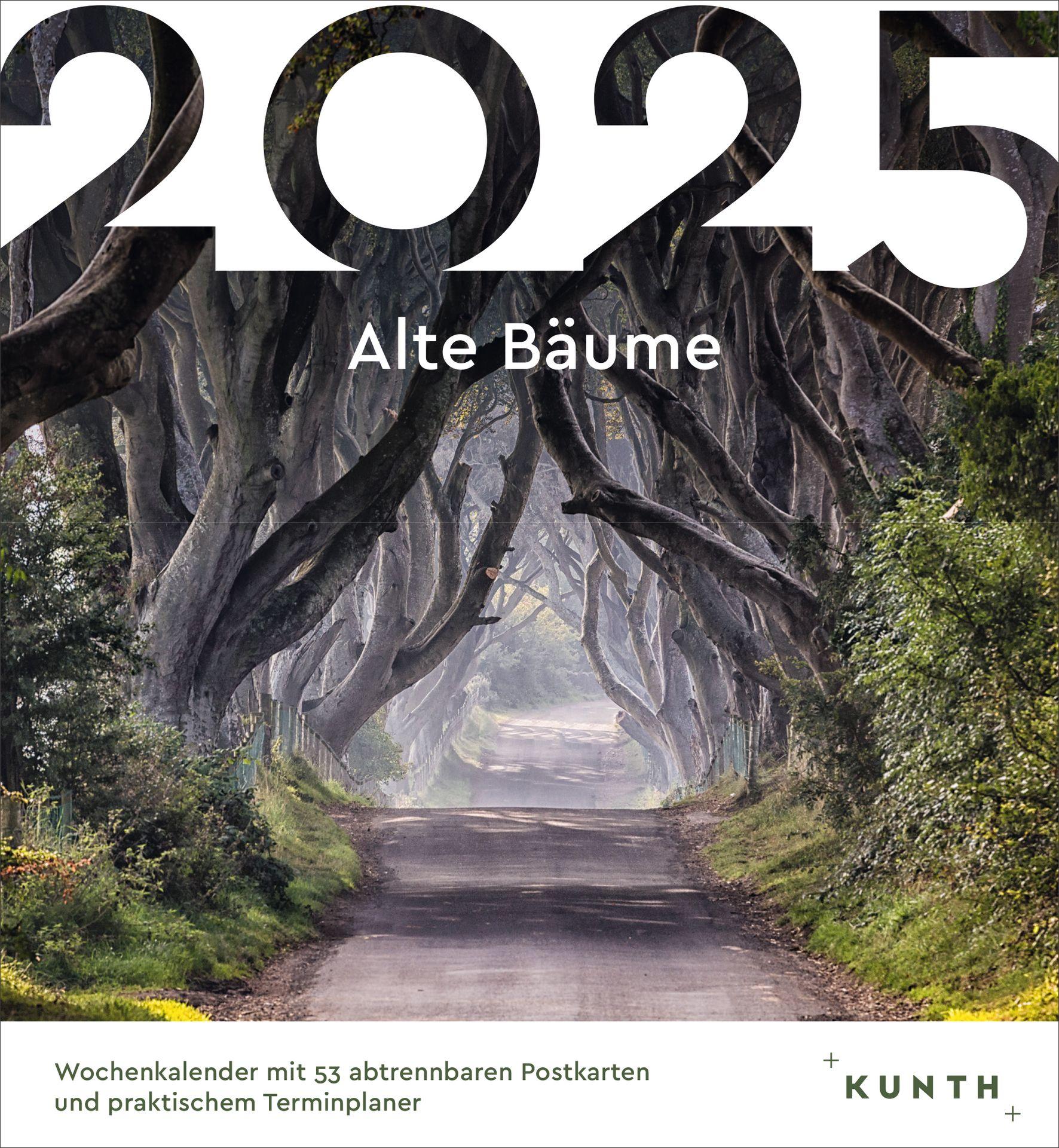 Cover: 9783965913943 | Alte Bäume - KUNTH Postkartenkalender 2025 | Kalender | 53 S. | 2025