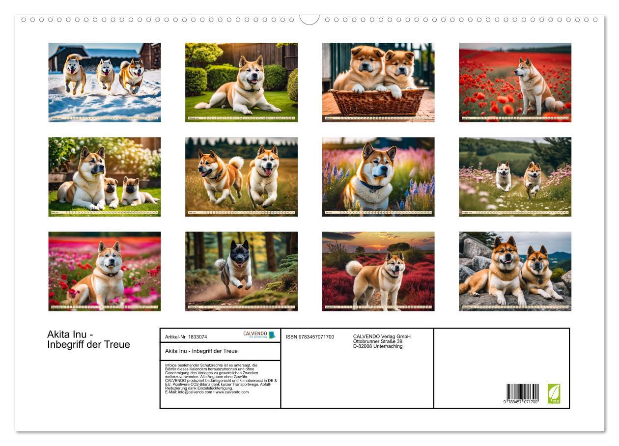 Bild: 9783457071700 | Akita Inu - Inbegriff der Treue (Wandkalender 2025 DIN A2 quer),...