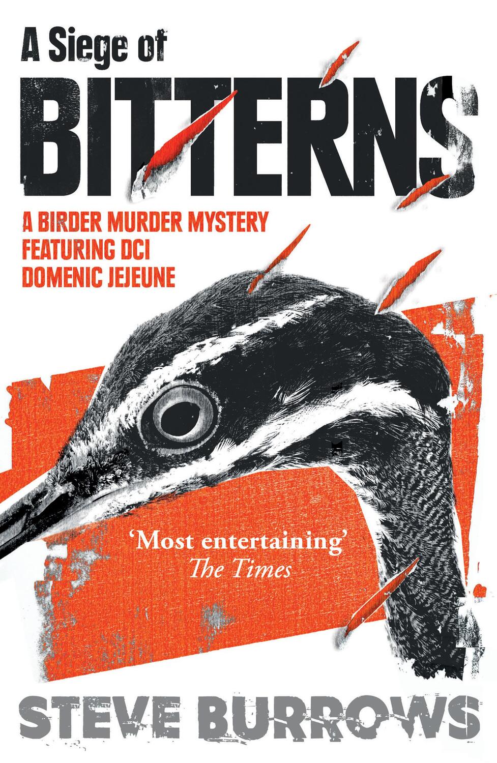 Cover: 9781786074263 | A Siege of Bitterns | Steve Burrows | Taschenbuch | Englisch | 2018