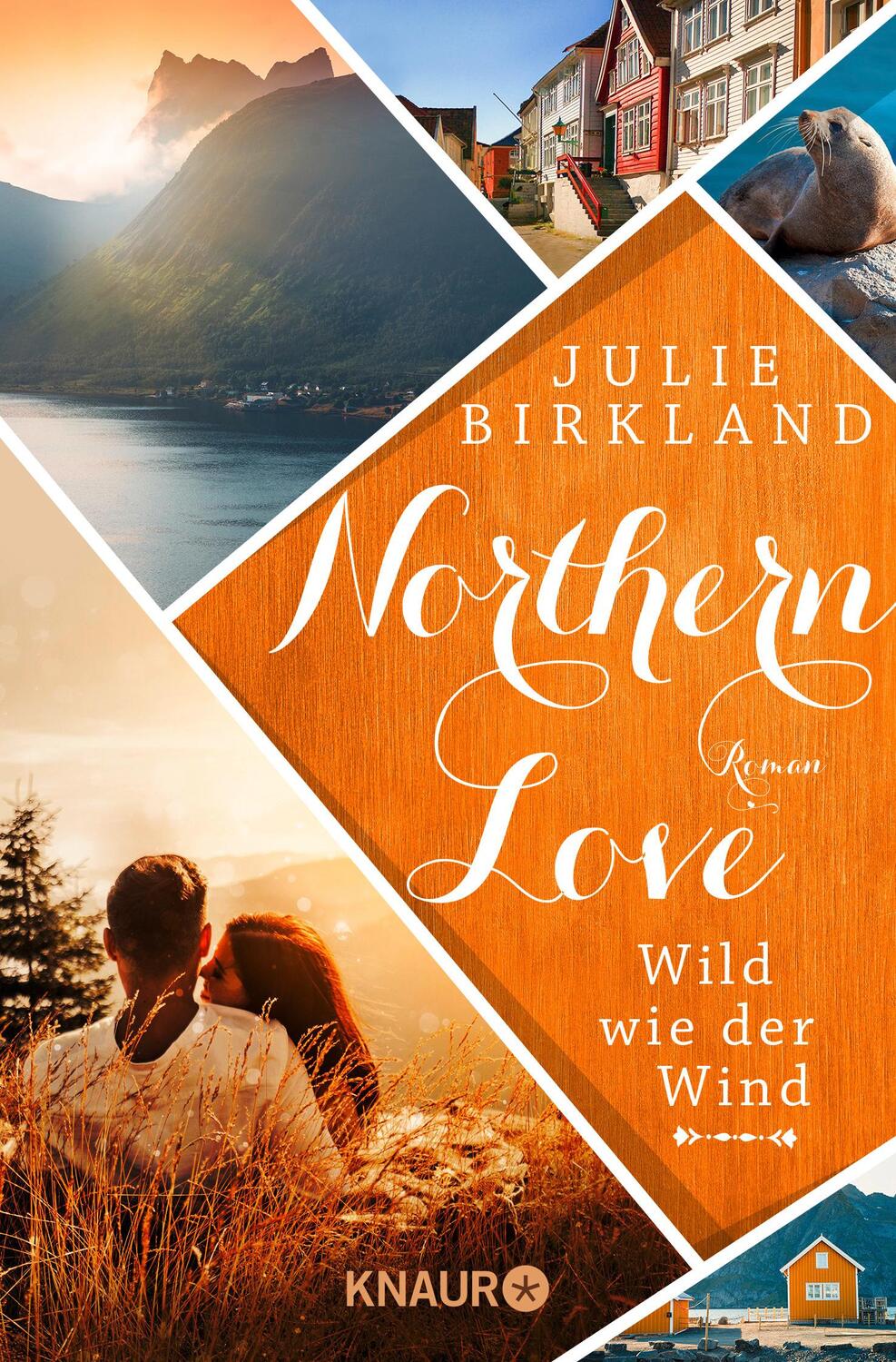 Cover: 9783426526033 | Wild wie der Wind | Roman | Julie Birkland | Taschenbuch | 352 S.