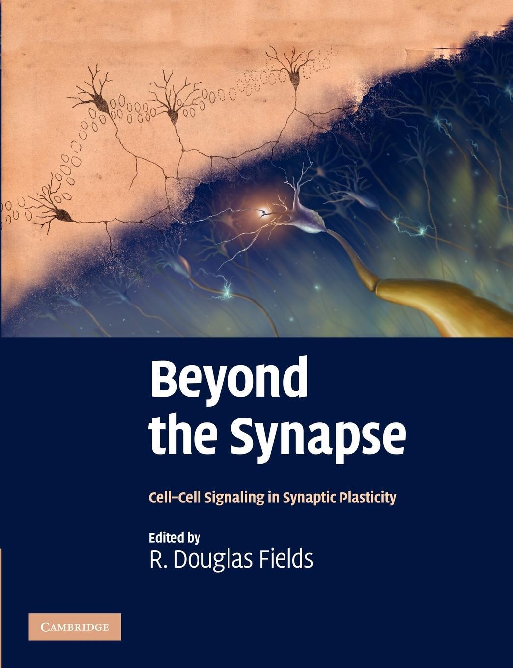 Cover: 9781107411562 | Beyond the Synapse | R. Douglas Fields | Taschenbuch | Paperback